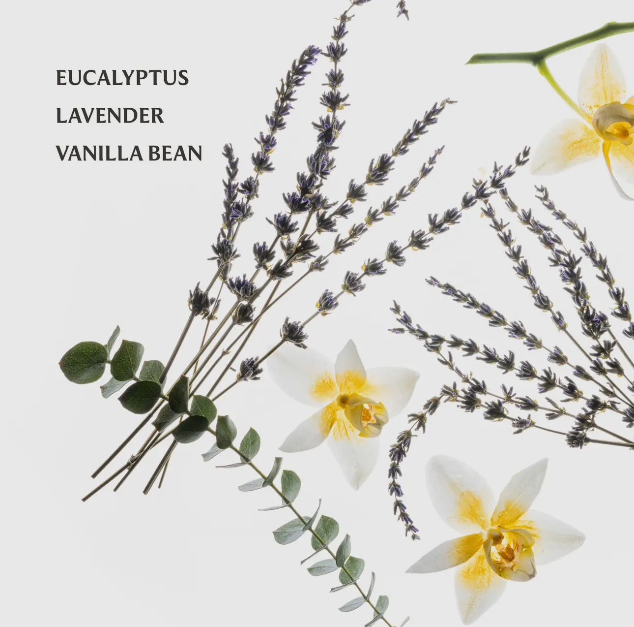 Pure Lavender Power Mist Hydrating Hand Sanitizer