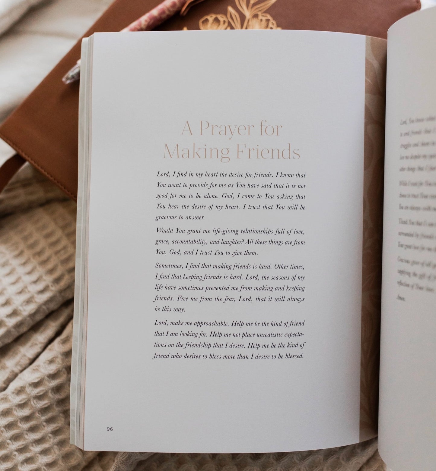 The Daily Grace Co. Craving Community Bible Study