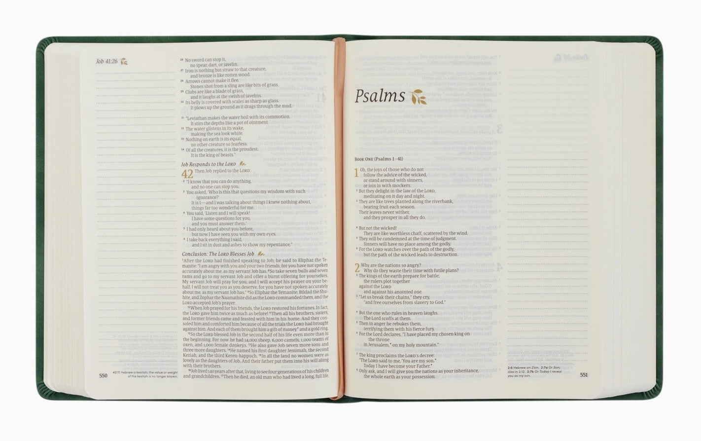 NLT Summerside Notetaking Bible
