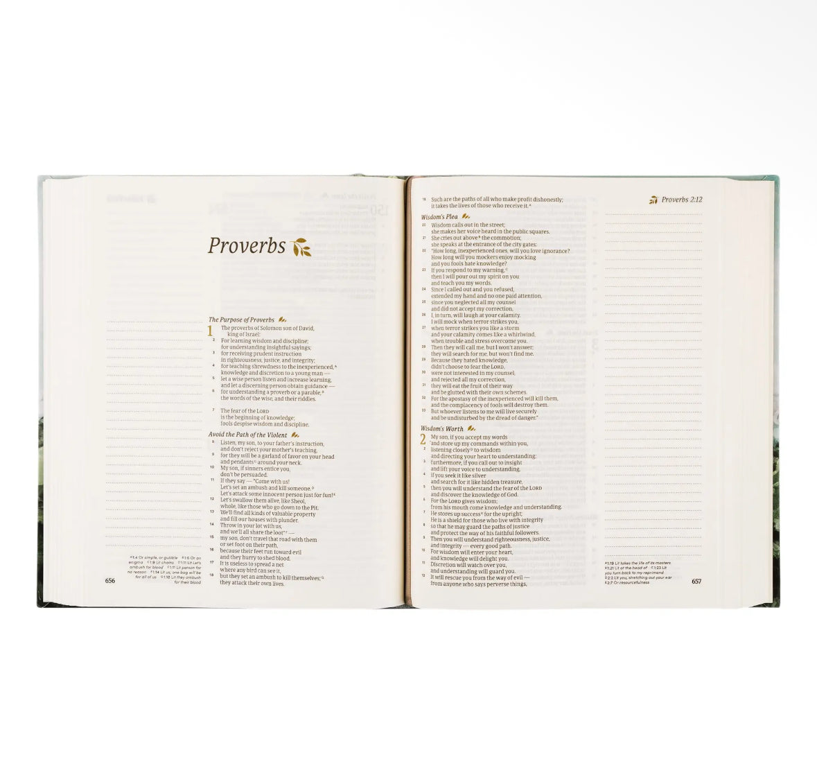 CSB Dublin Notetaking Bible