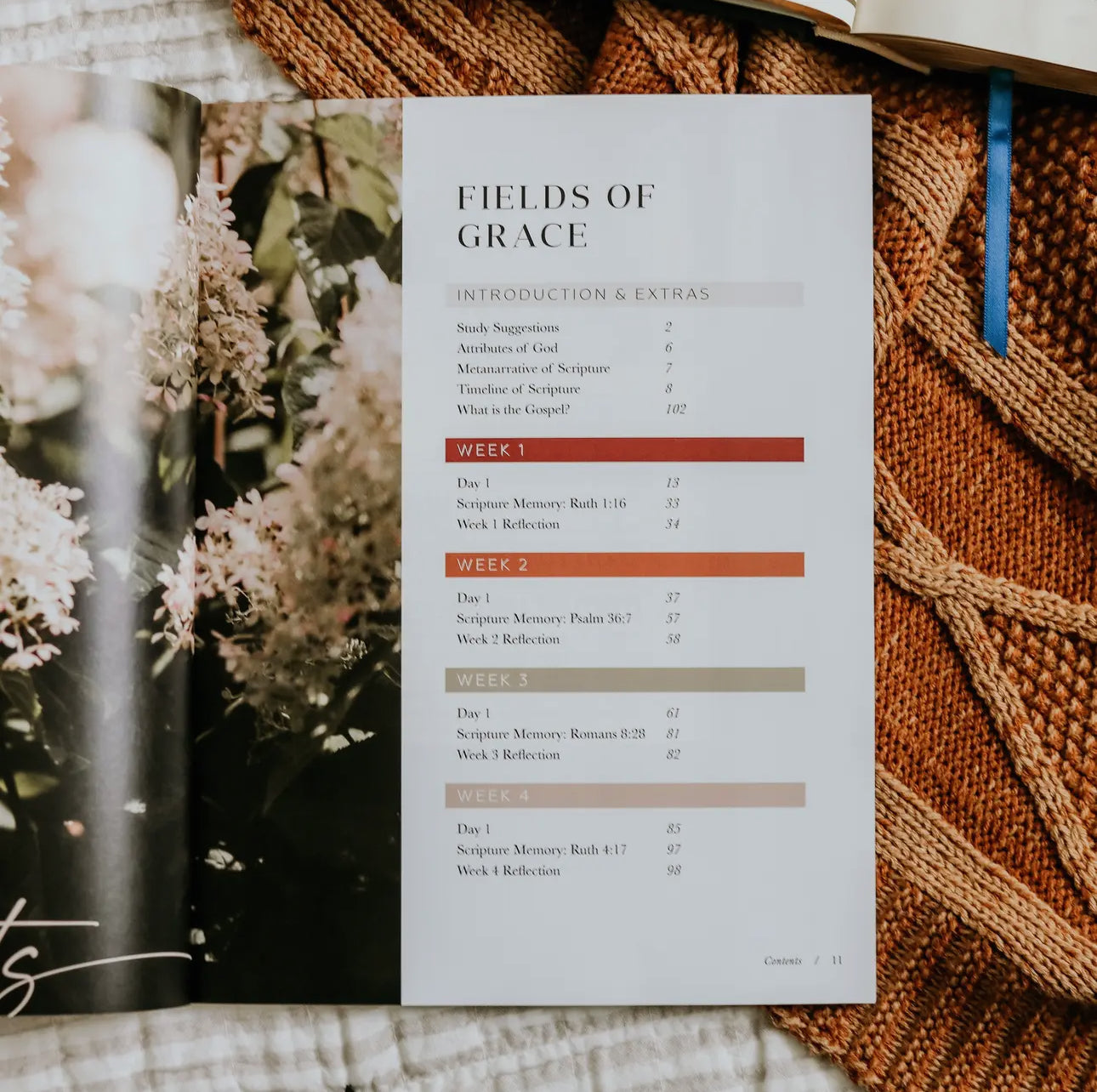 Ruth Study | Fields of Grace