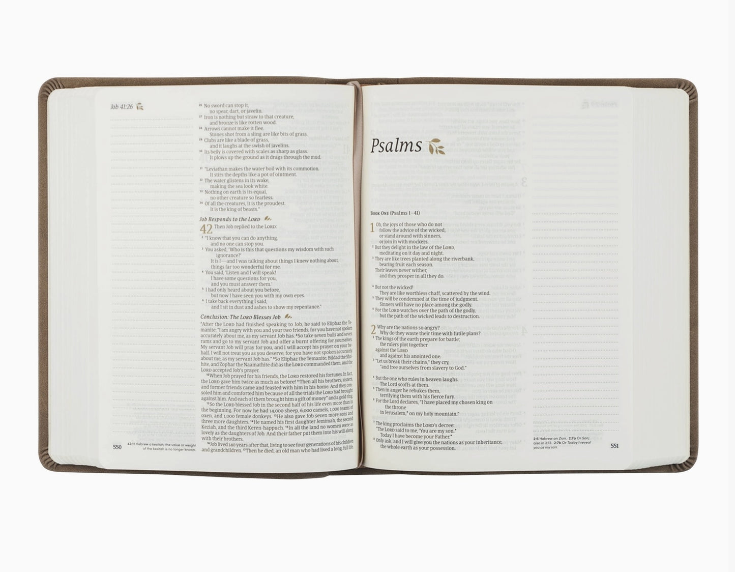 Hosanna Revival NLT Marlo Theme Bible