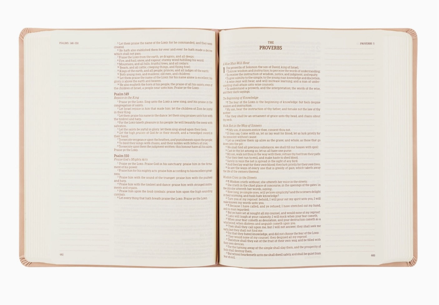 KJV Shiloh Large Print Journaling Bible