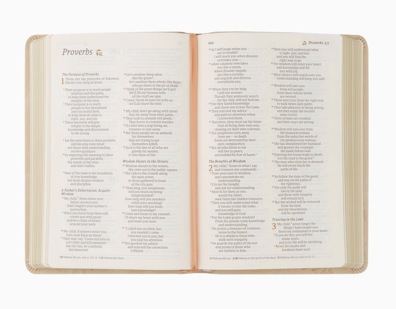 NLT Sonora Compact Bible