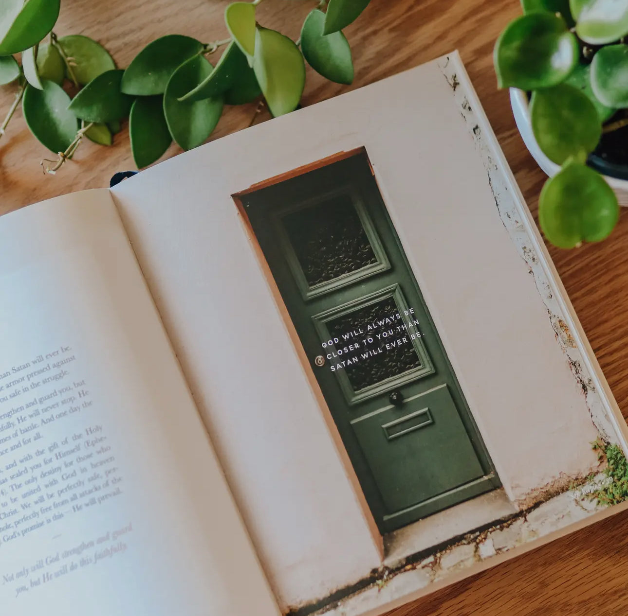 The Promise Of God Book
