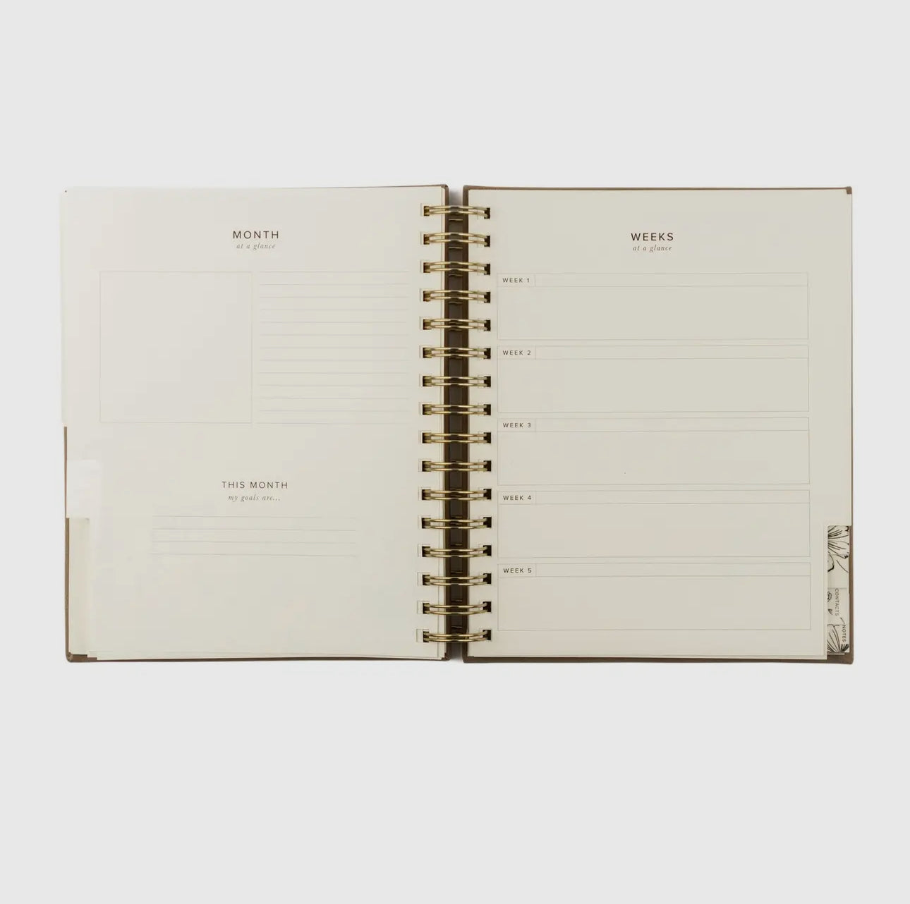 12 Month Undated Planner: Marlo