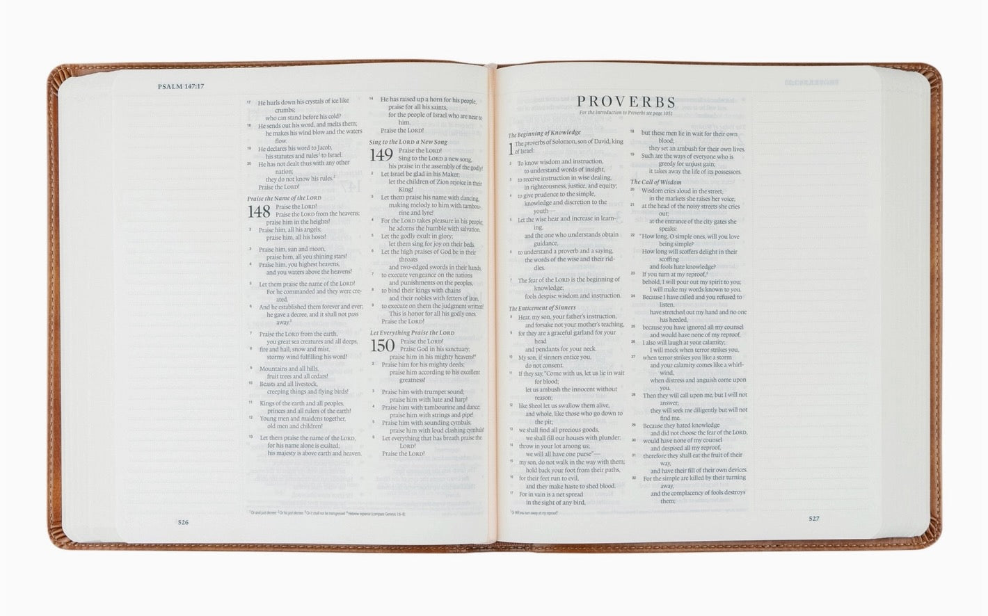 ESV Sierra Journaling Bible