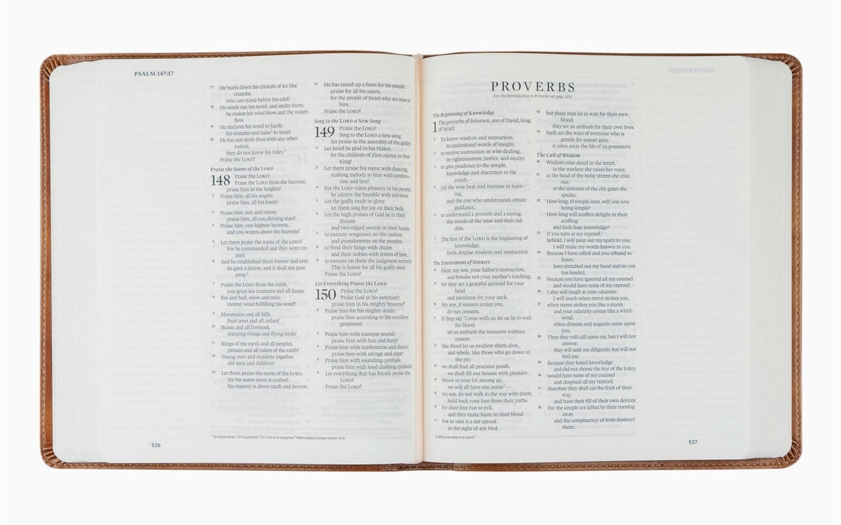 Hosanna Revival ESV Sierra Journaling Bible