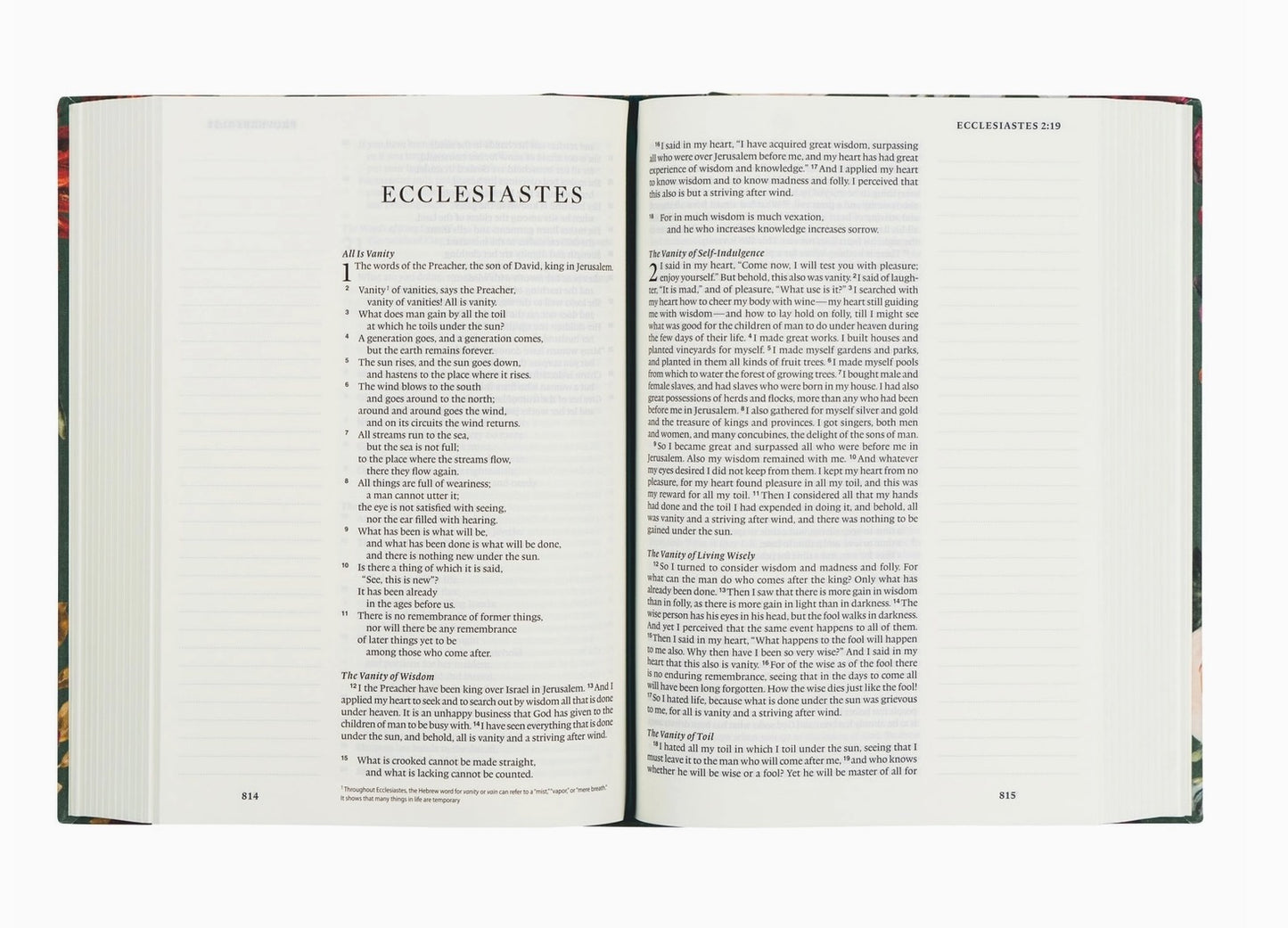 ESV Hollis Large Print Notetaking Bible
