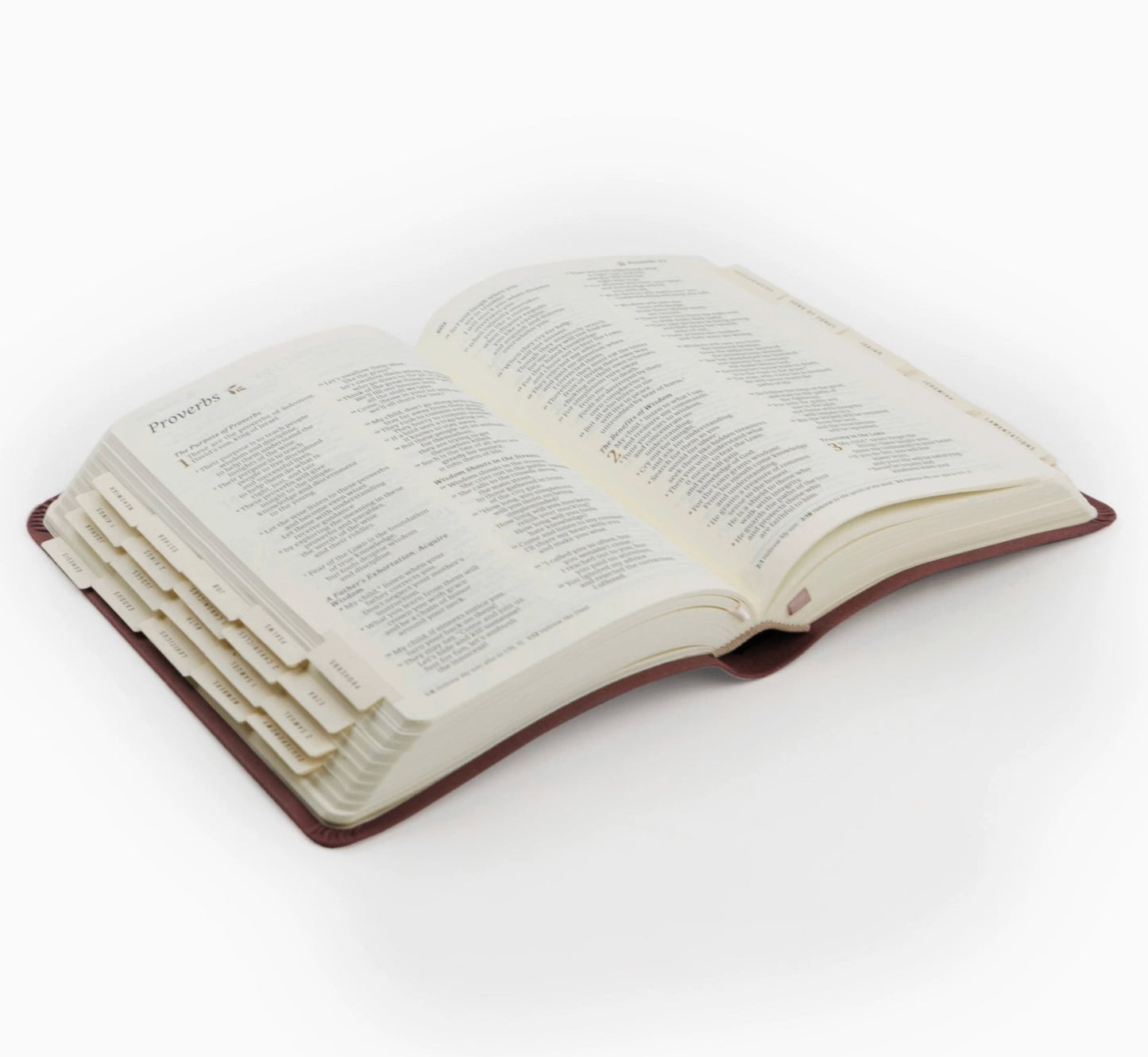 Hosanna Revival Bible Tabs: Black Foiling