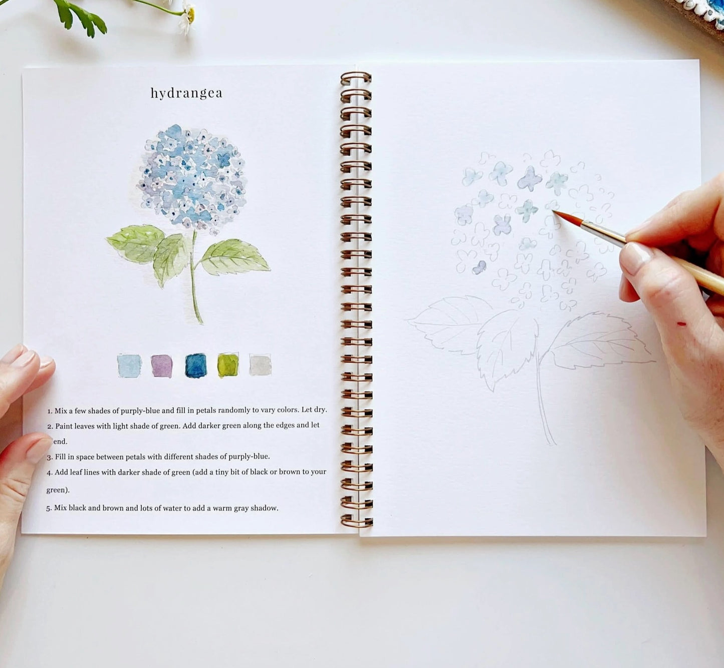 Emily Lex Flowers Watercolor Workbook