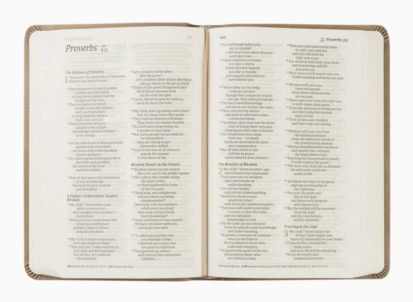 Hosanna Revival NLT Marlo Compact Bible