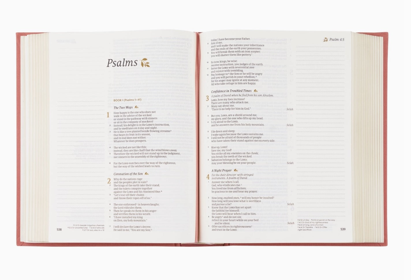 CSB Rosedal Notetaking Bible
