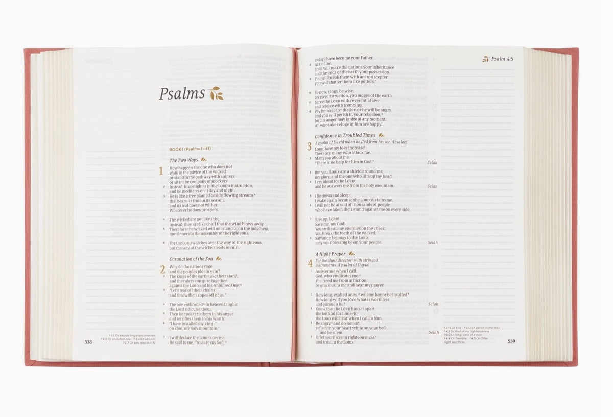 Hosanna Revival CSB Rosedal Notetaking Bible