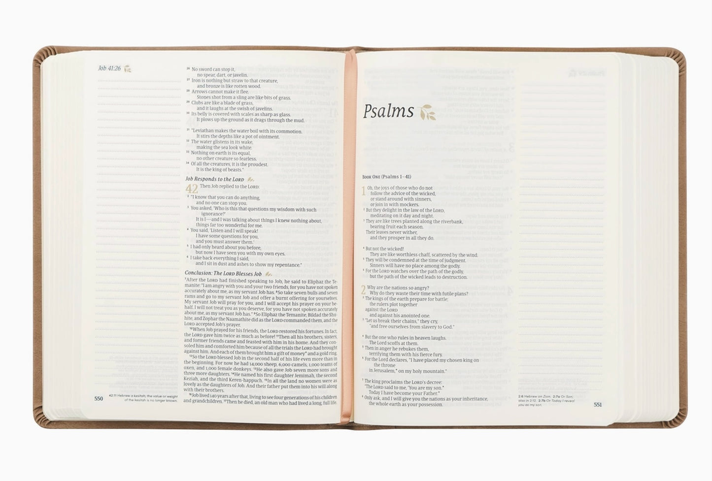Hosanna Revival NLT Galilee Theme Bible