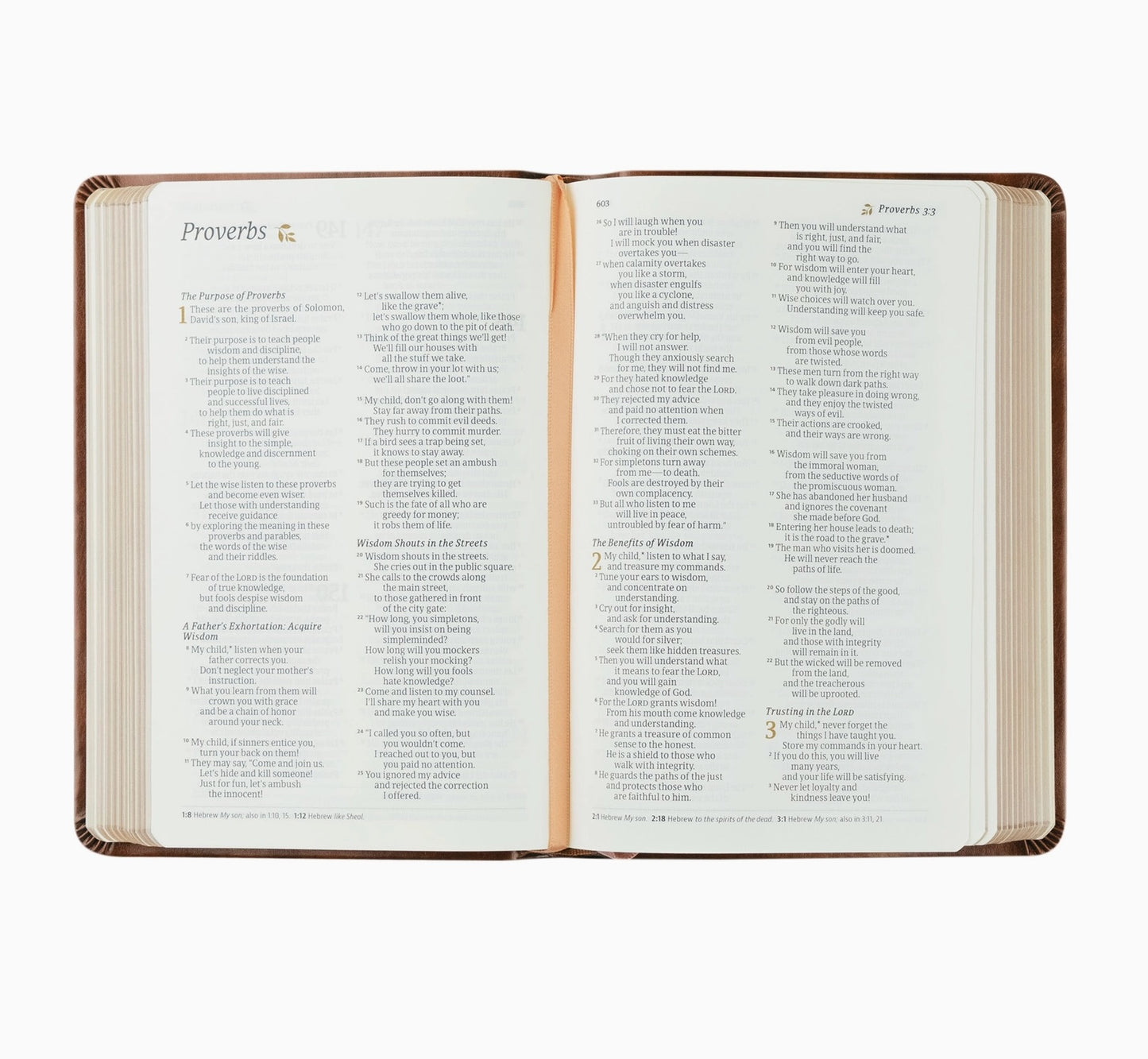 Hosanna Revival NLT Compact Bible Aurora