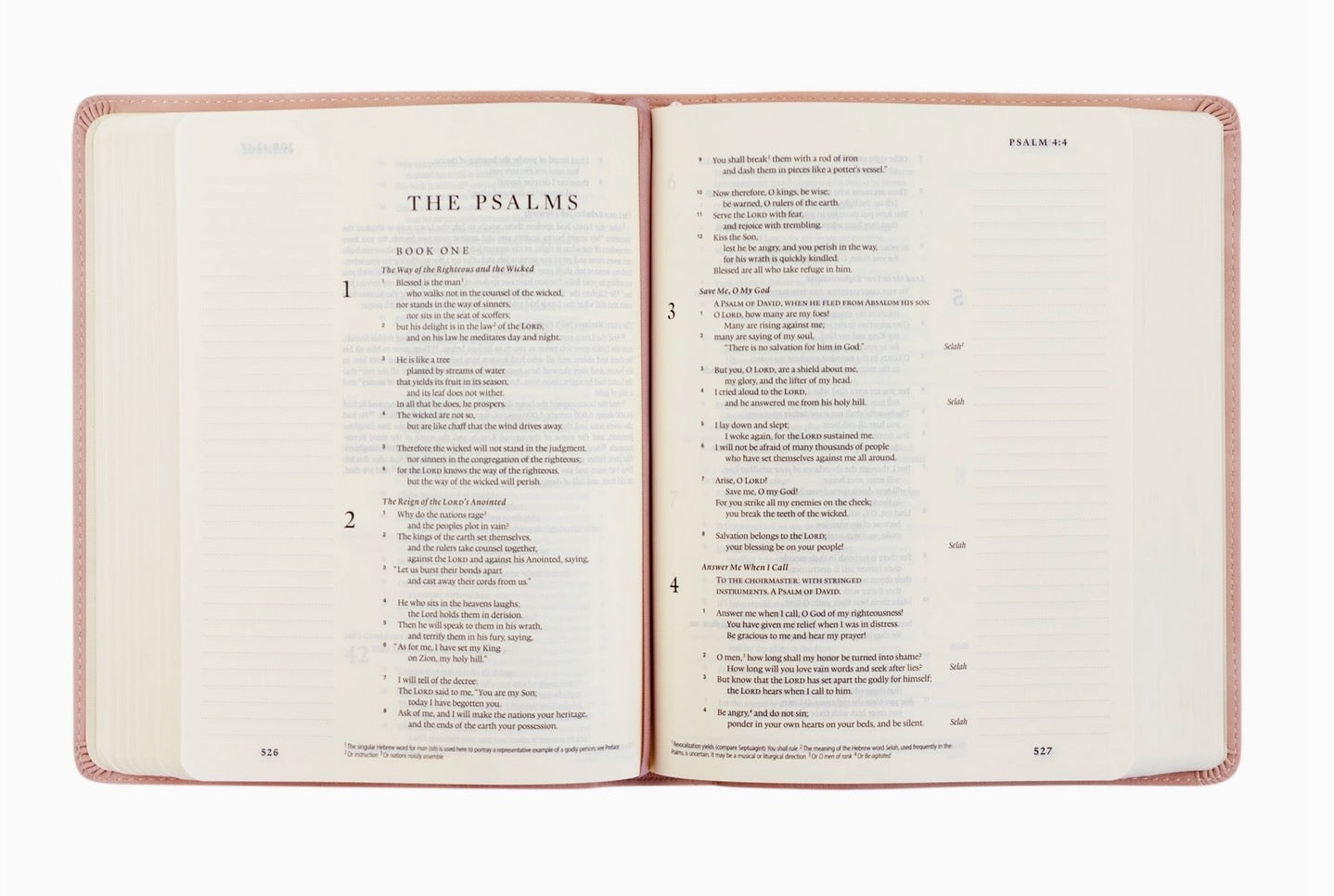 Hosanna Revival l ESV Shiloh Journaling Bible