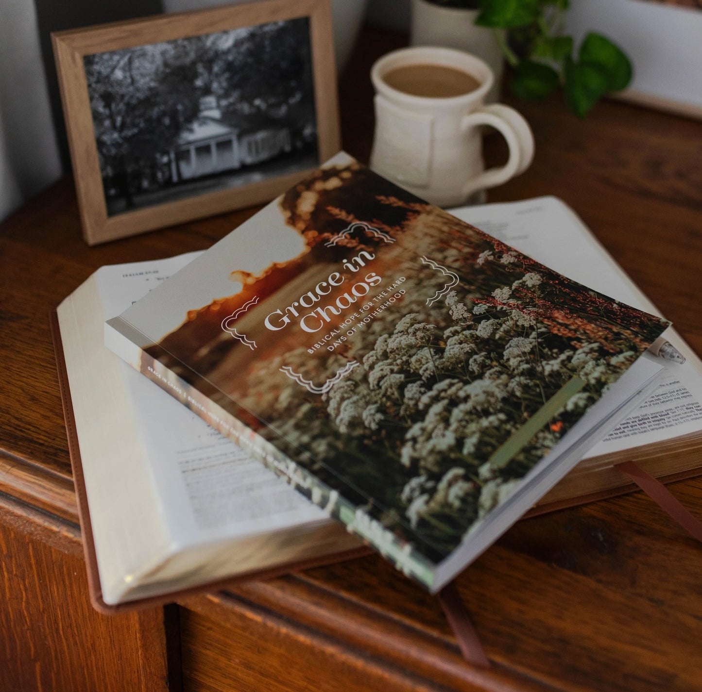 The Daily Grace Co. Grace in Chaos Bible Study
