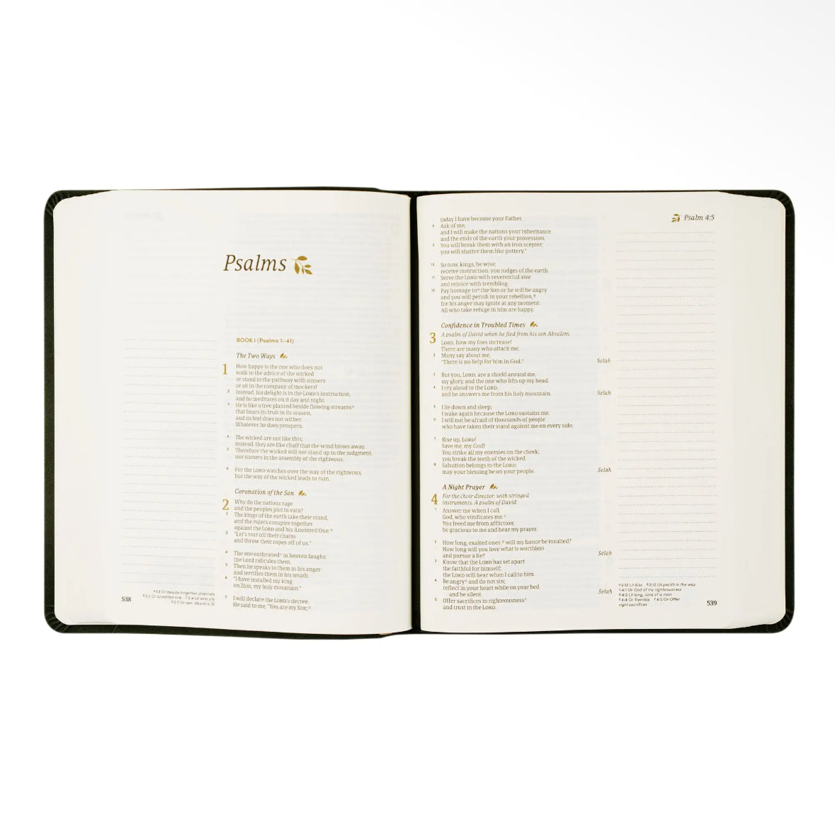 CSB Jerusalem Notetaking Bible