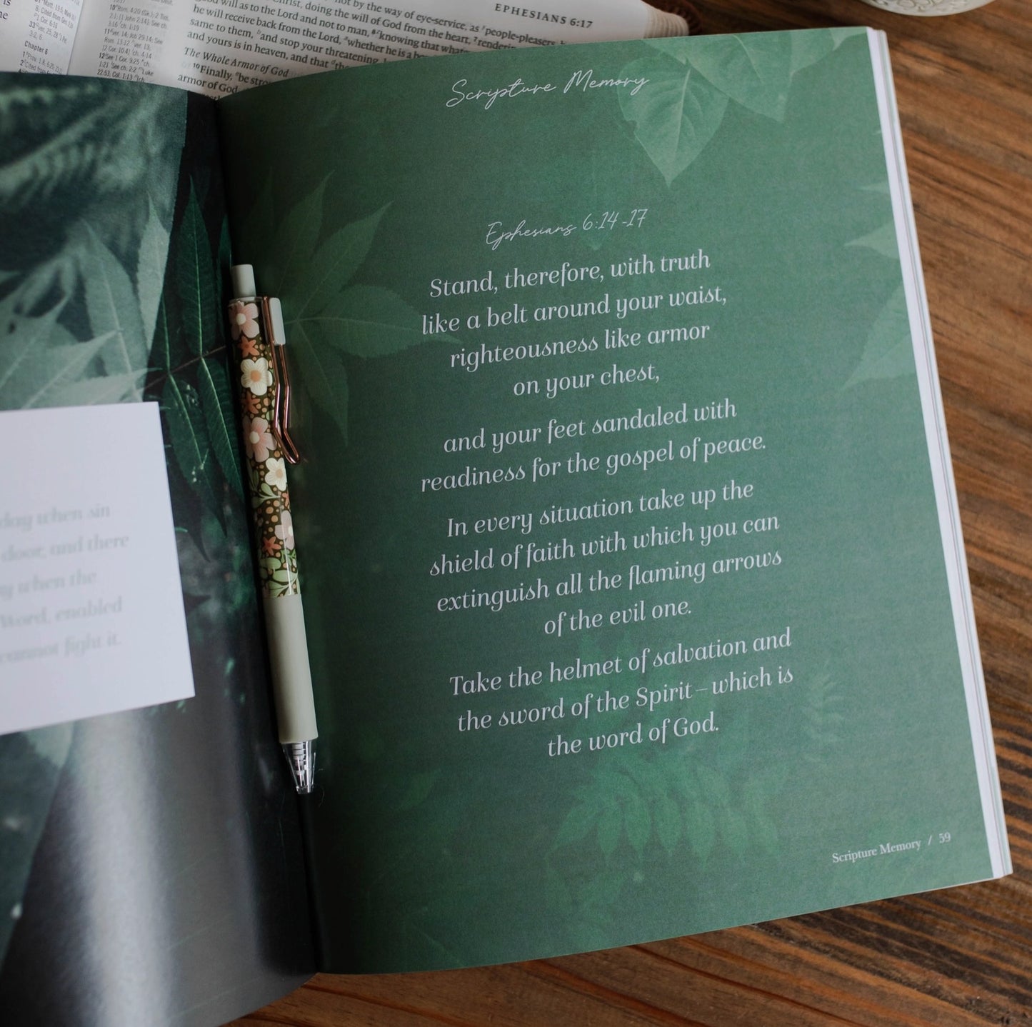 The Daily Grace Co. Stand Firm l Armor of God Study