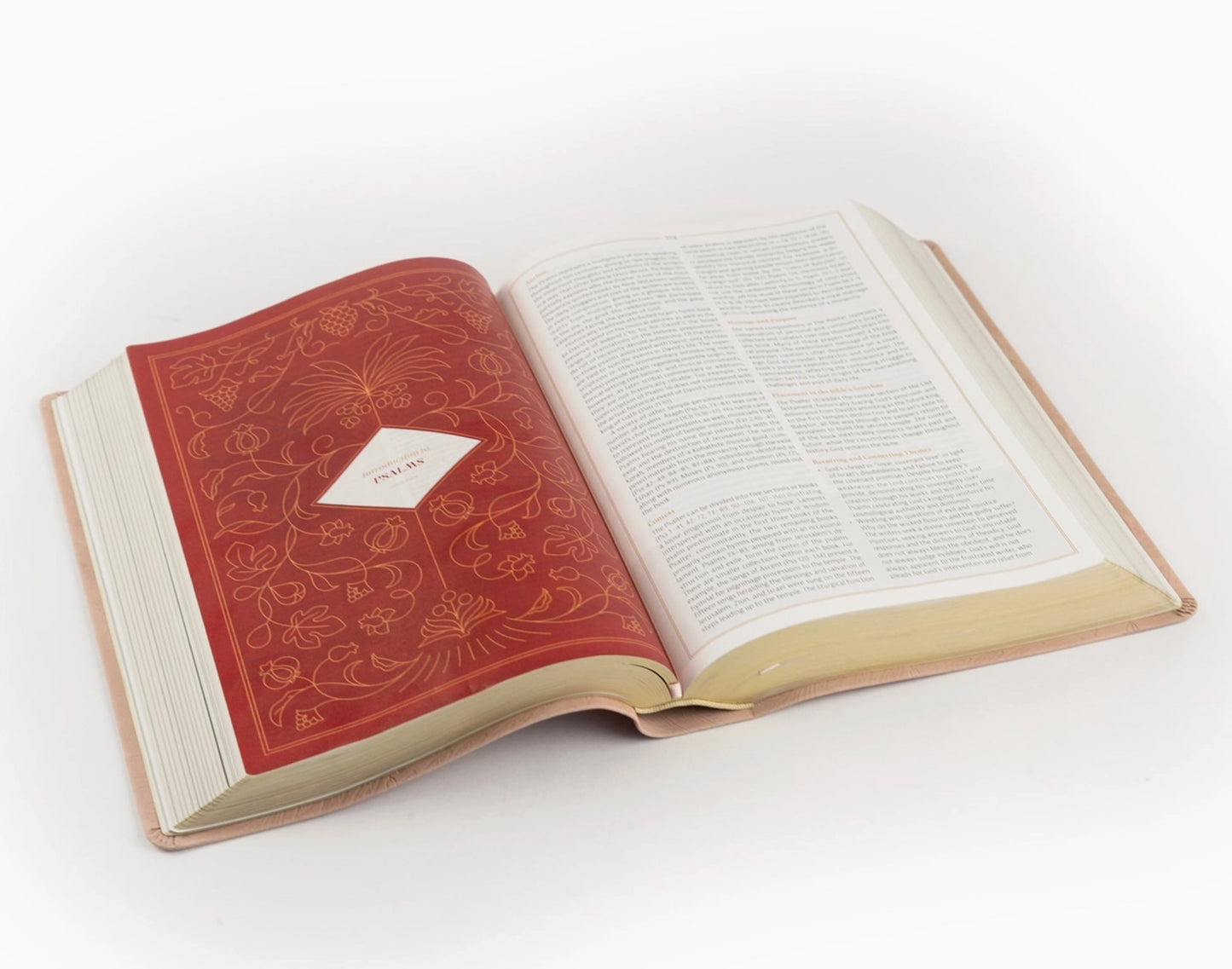 Hosanna Reviva l CSB Study Bible Sonora Theme