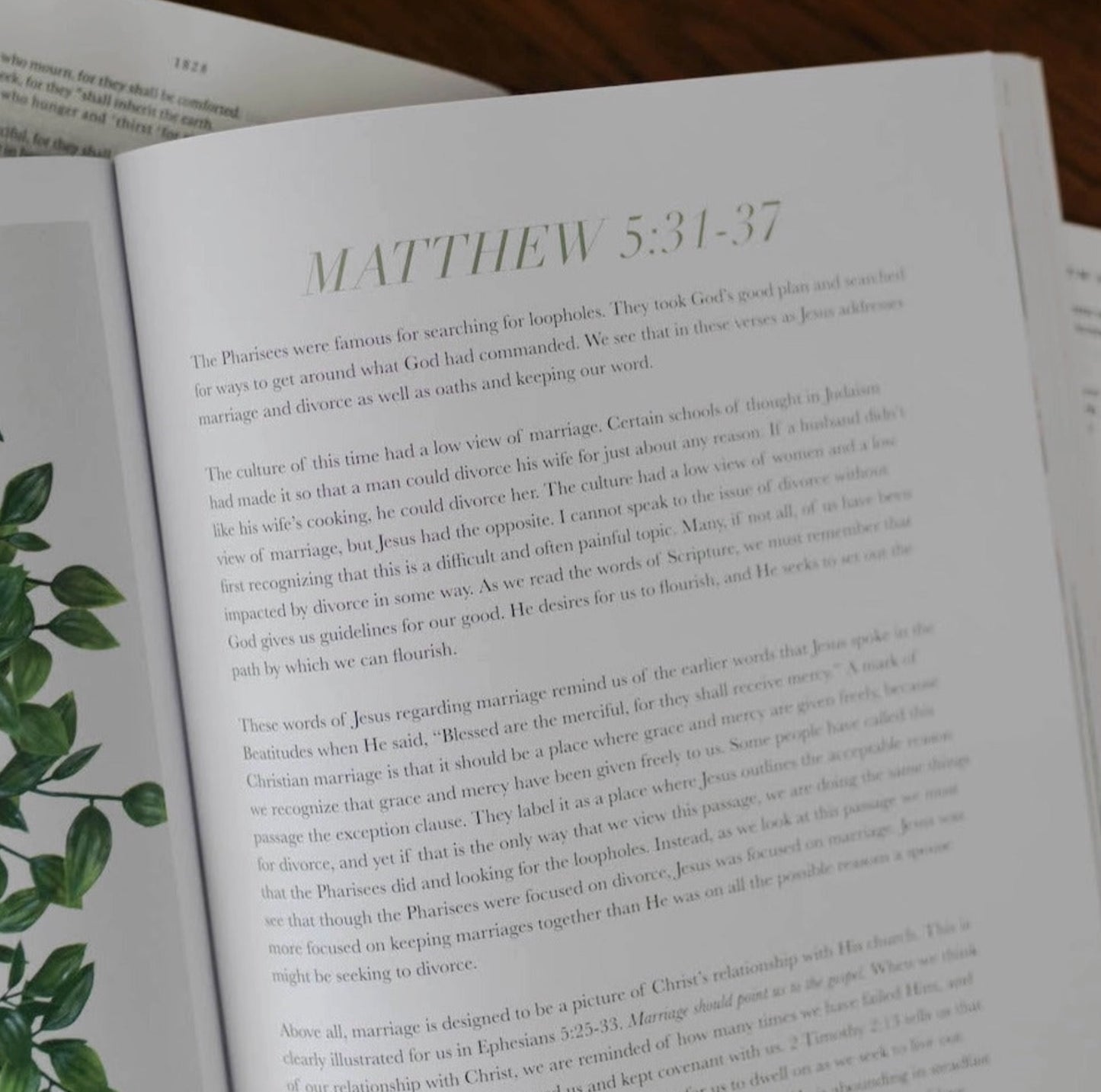 The Daily Grace Co. The Sermon On the Mount