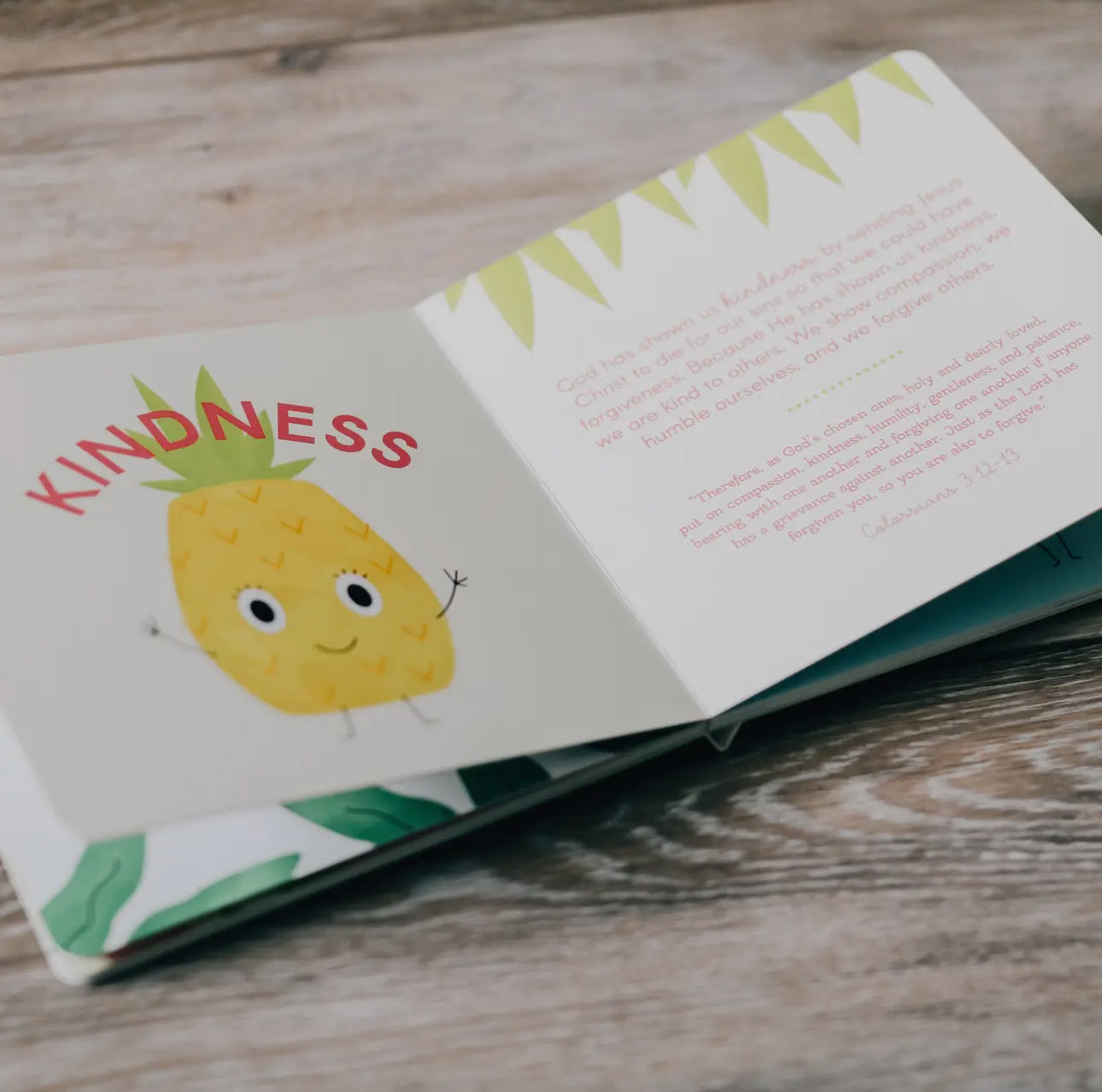 The Fruit Of The Spirit Book