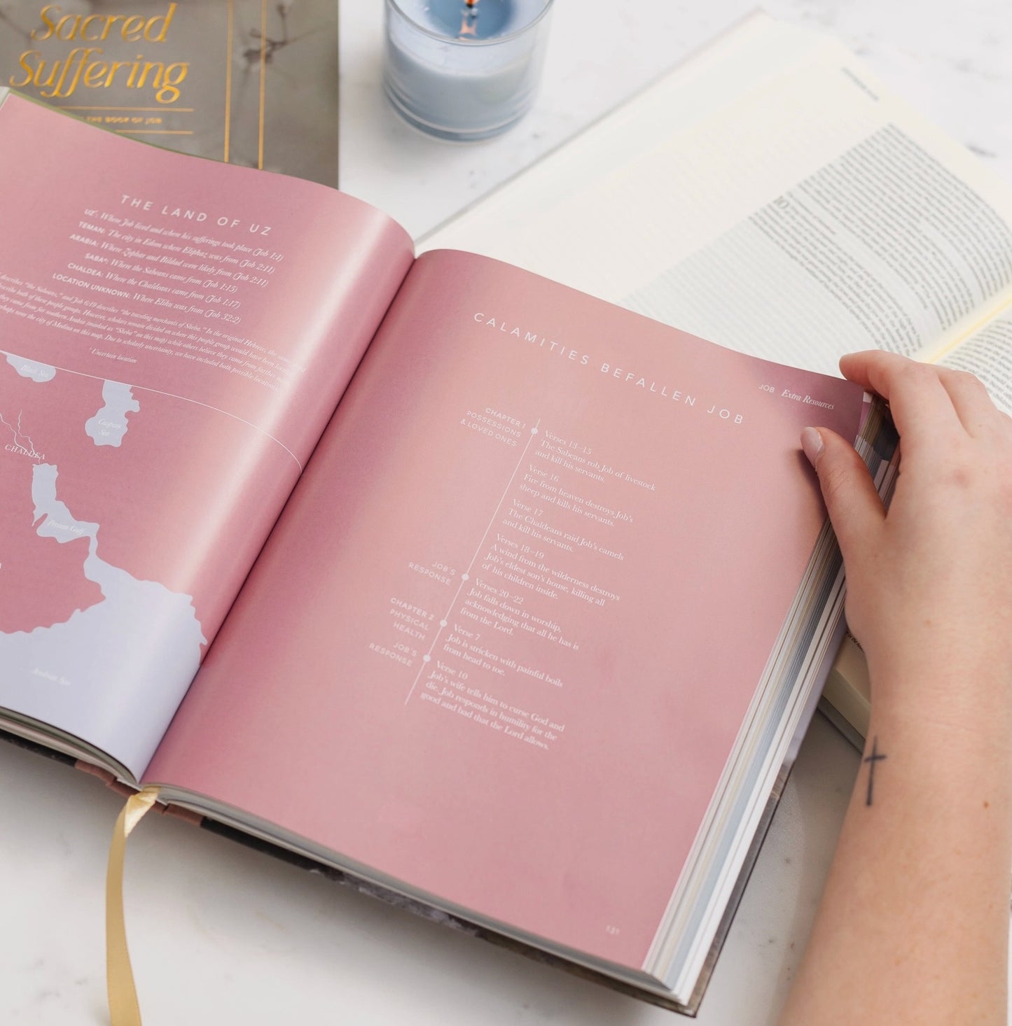 The Daily Grace Co. The Bible Handbook