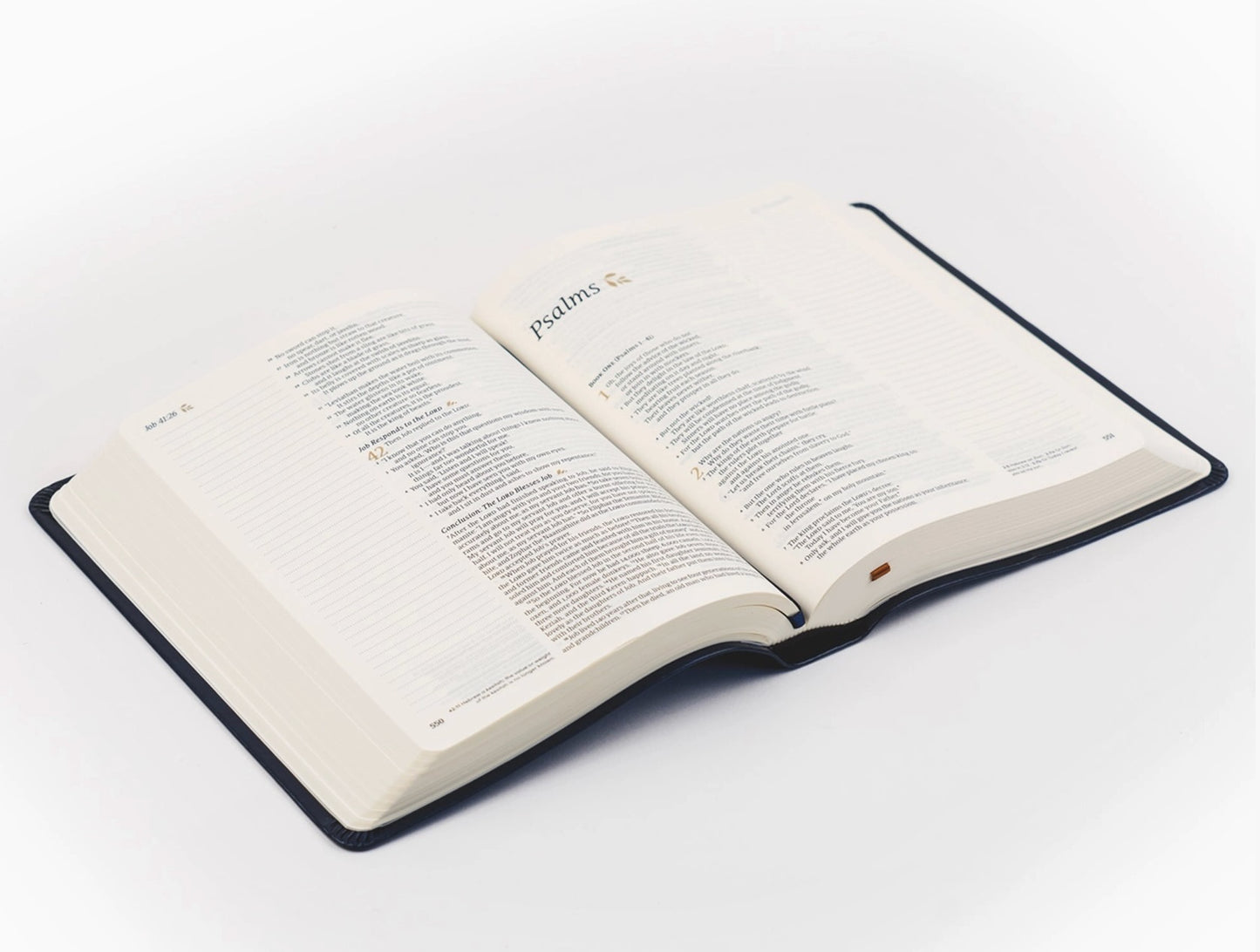 Hosanna Revival l NLT Notetaking Bible: Versailles Theme