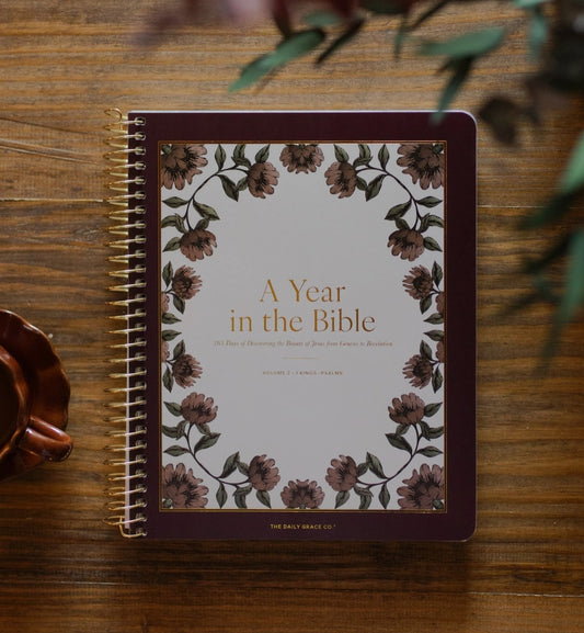 A Year in the Bible l Volume 2  Bible Study