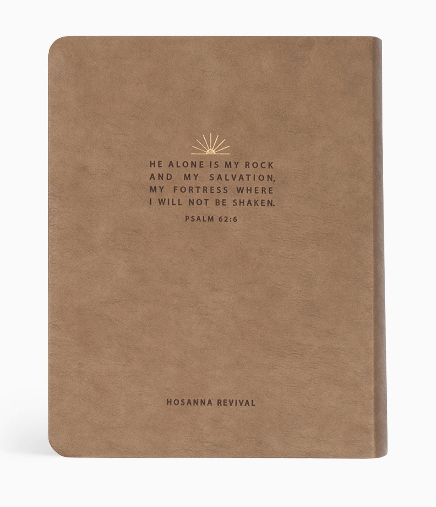 Hosanna Revival NLT Galilee Theme Bible