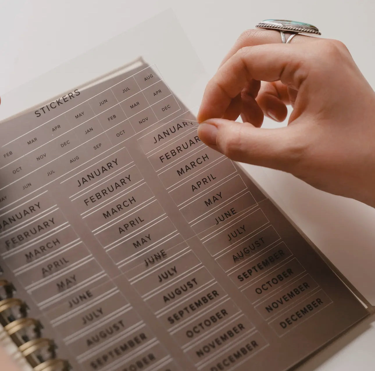 12 Month Undated Planner: Marlo