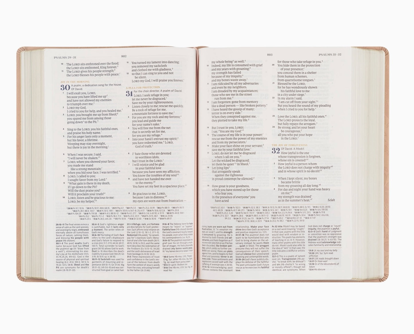 Hosanna Reviva l CSB Study Bible Sonora Theme