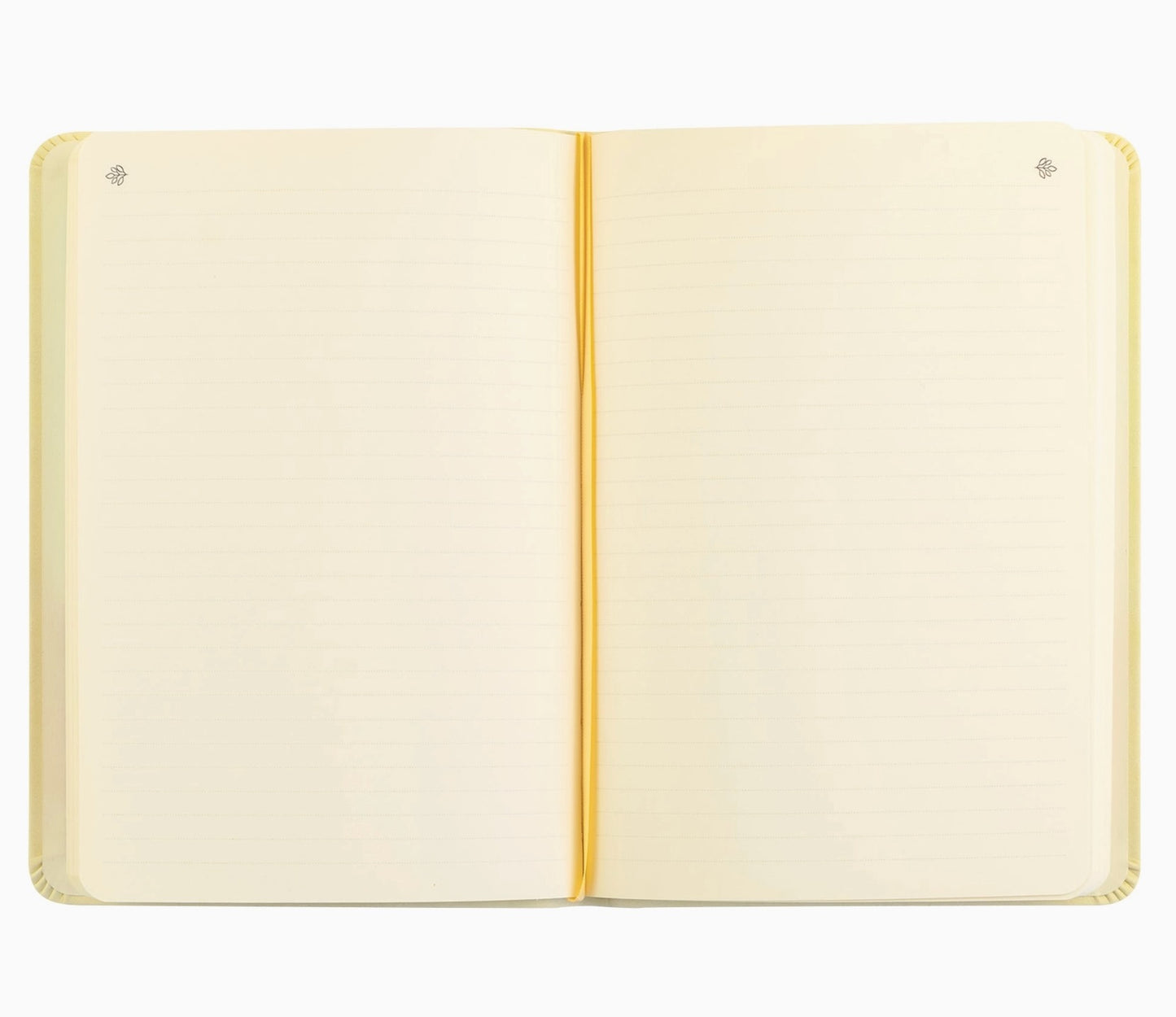Hosanna Revival l Belfast Notebook