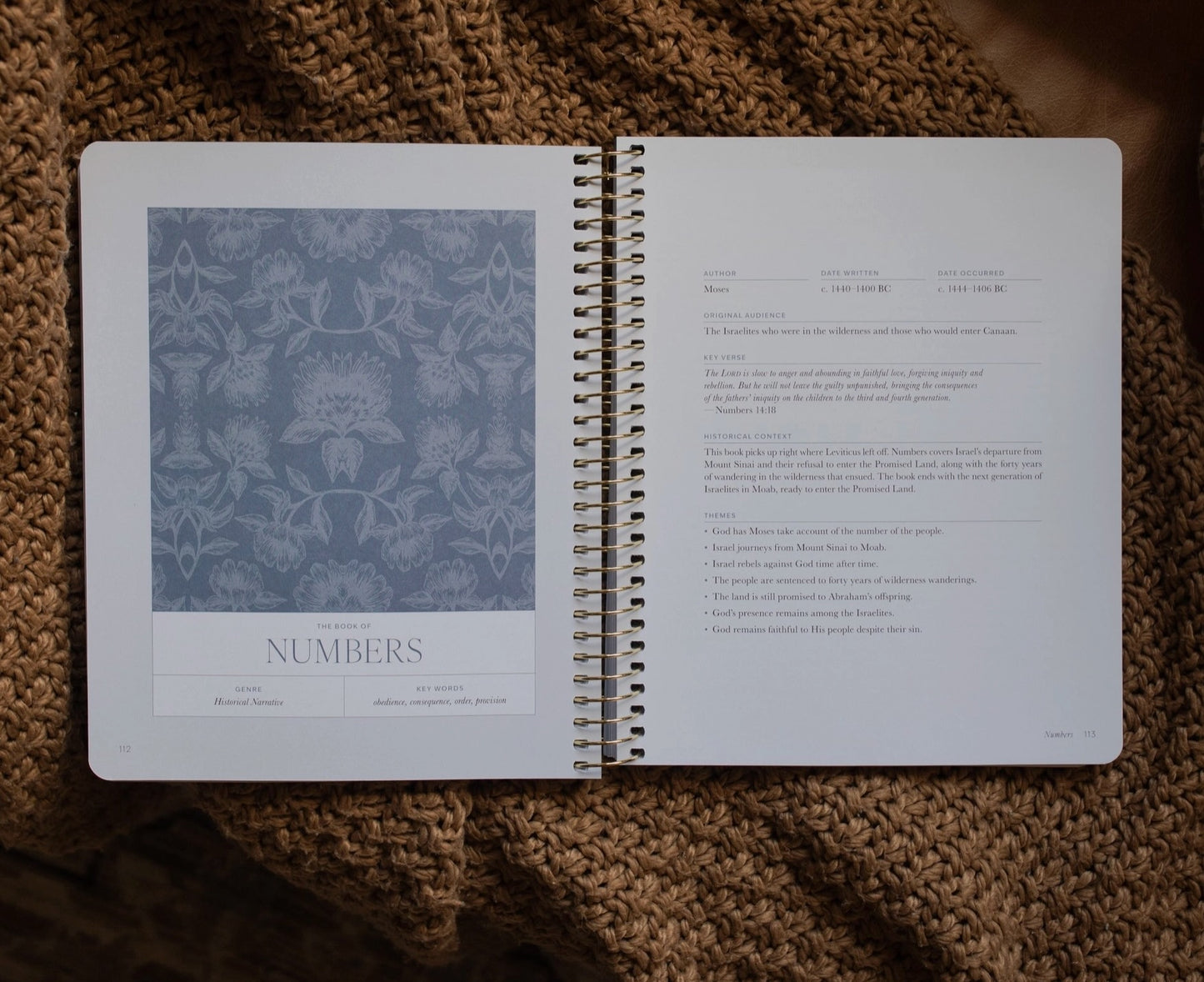 A Year in the Bible l Volume 1 Bible Study