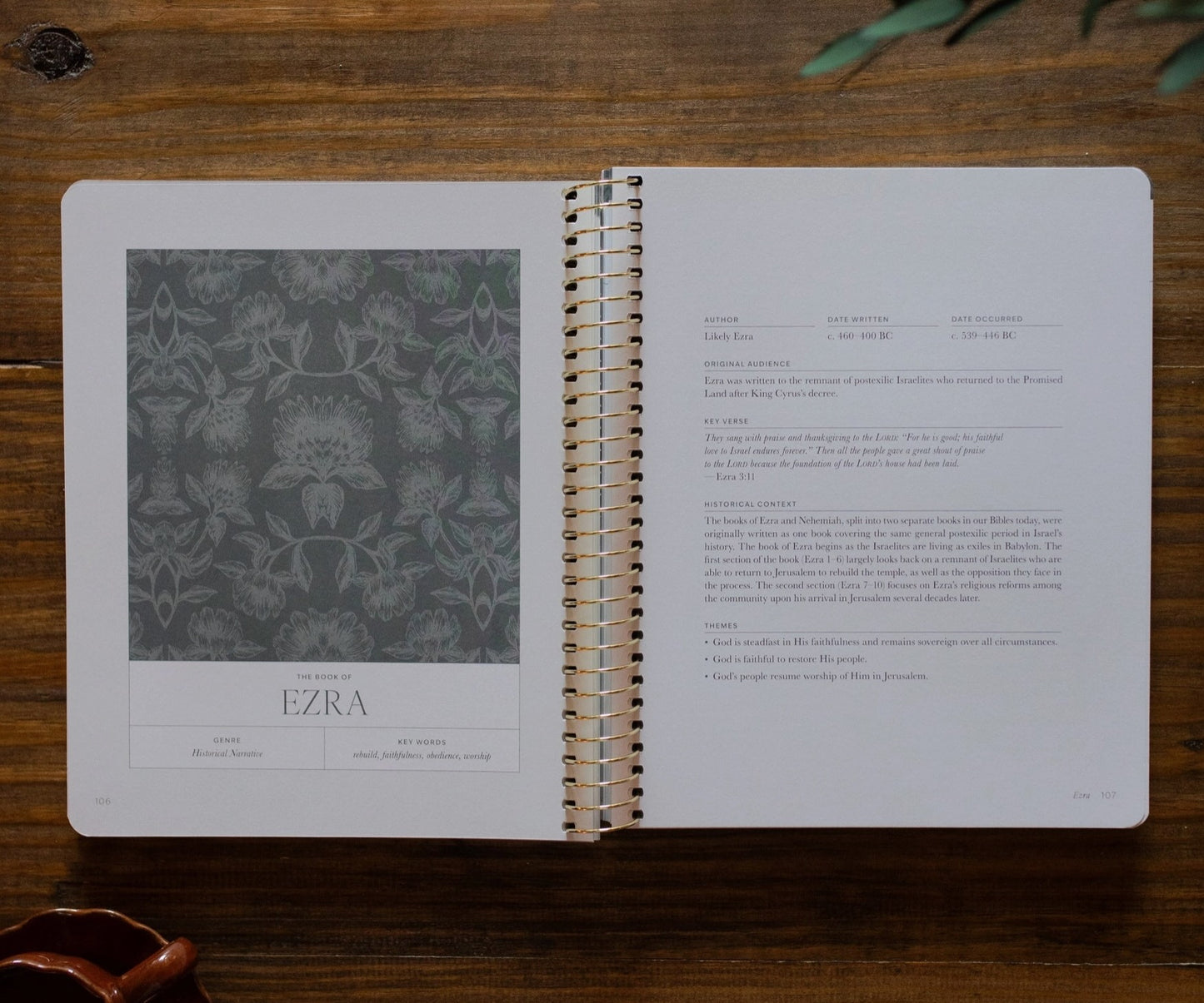 A Year in the Bible l Volume 2  Bible Study