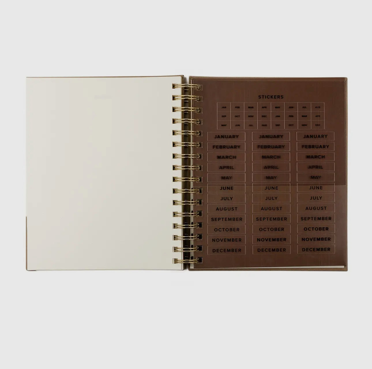 12 Month Undated Planner: Marlo
