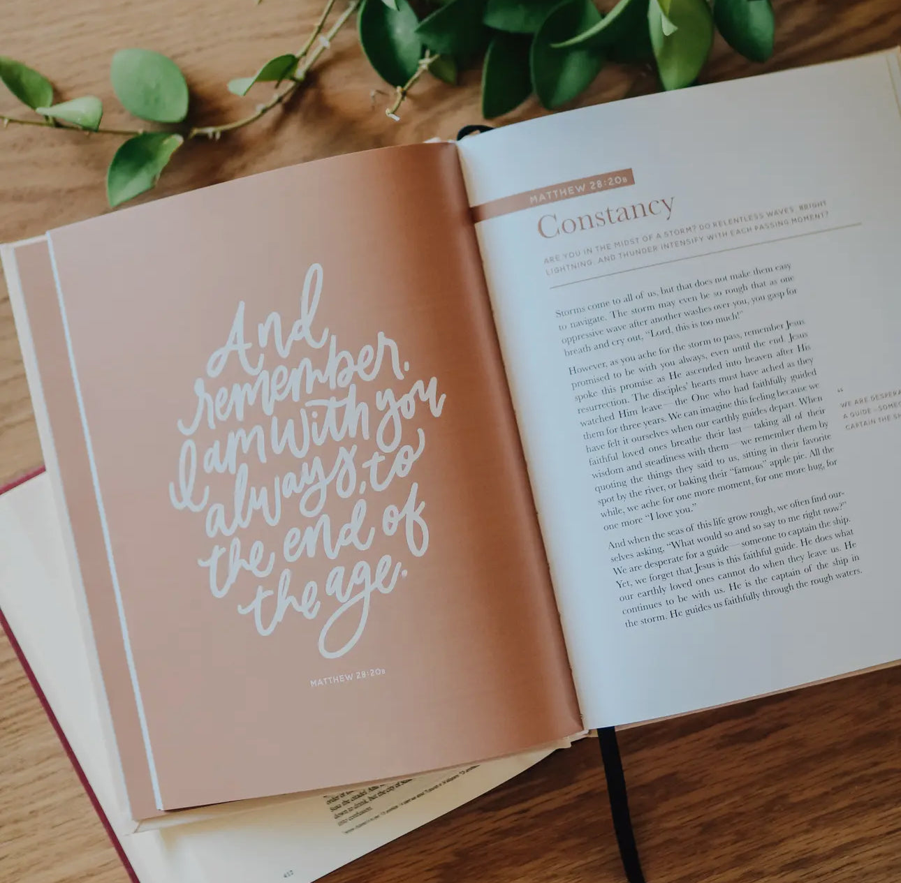 The Promise Of God Book