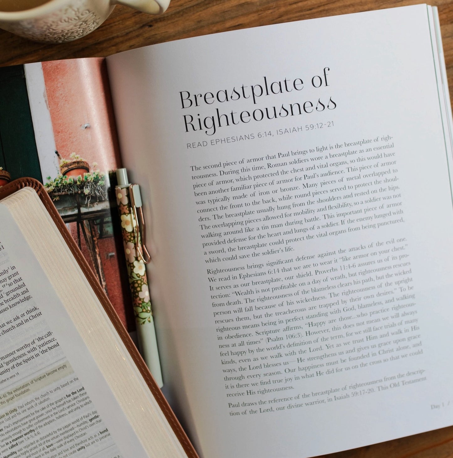 The Daily Grace Co. Stand Firm l Armor of God Study