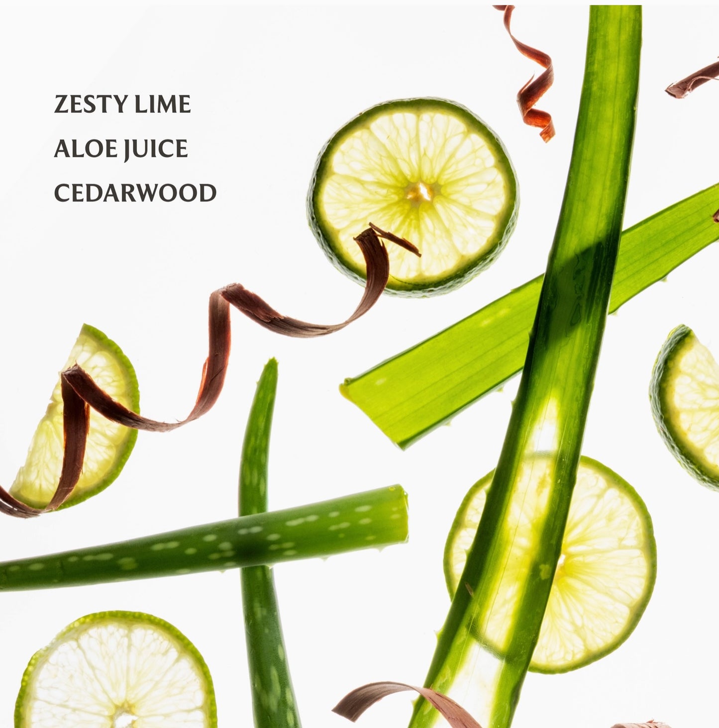 Aloe You