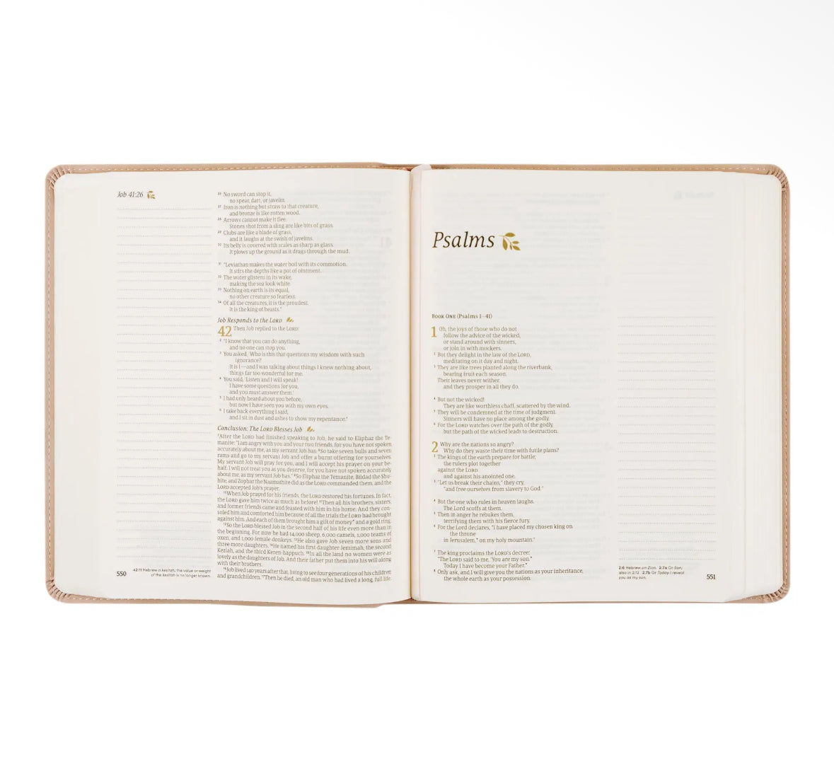 NLT Shiloh Theme Notetaking Bible