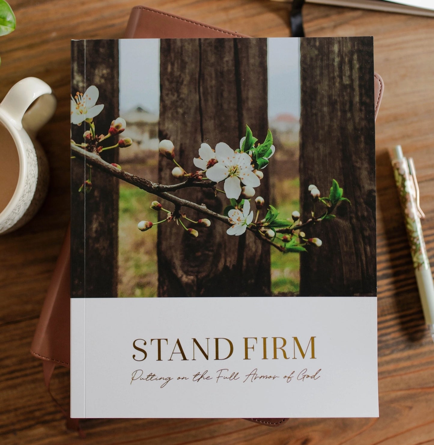 The Daily Grace Co. Stand Firm l Armor of God Study