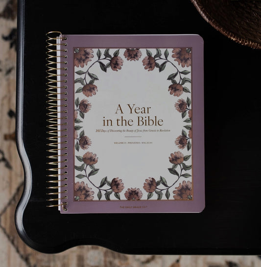A Year in the Bible l Volume 3  Bible Study