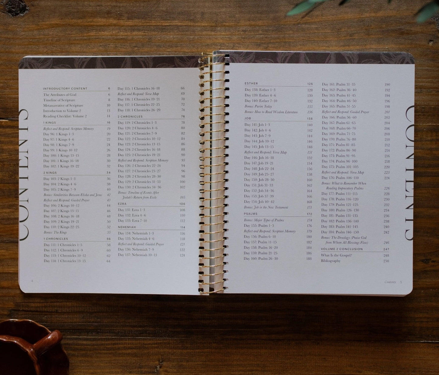 A Year in the Bible l Volume 2  Bible Study