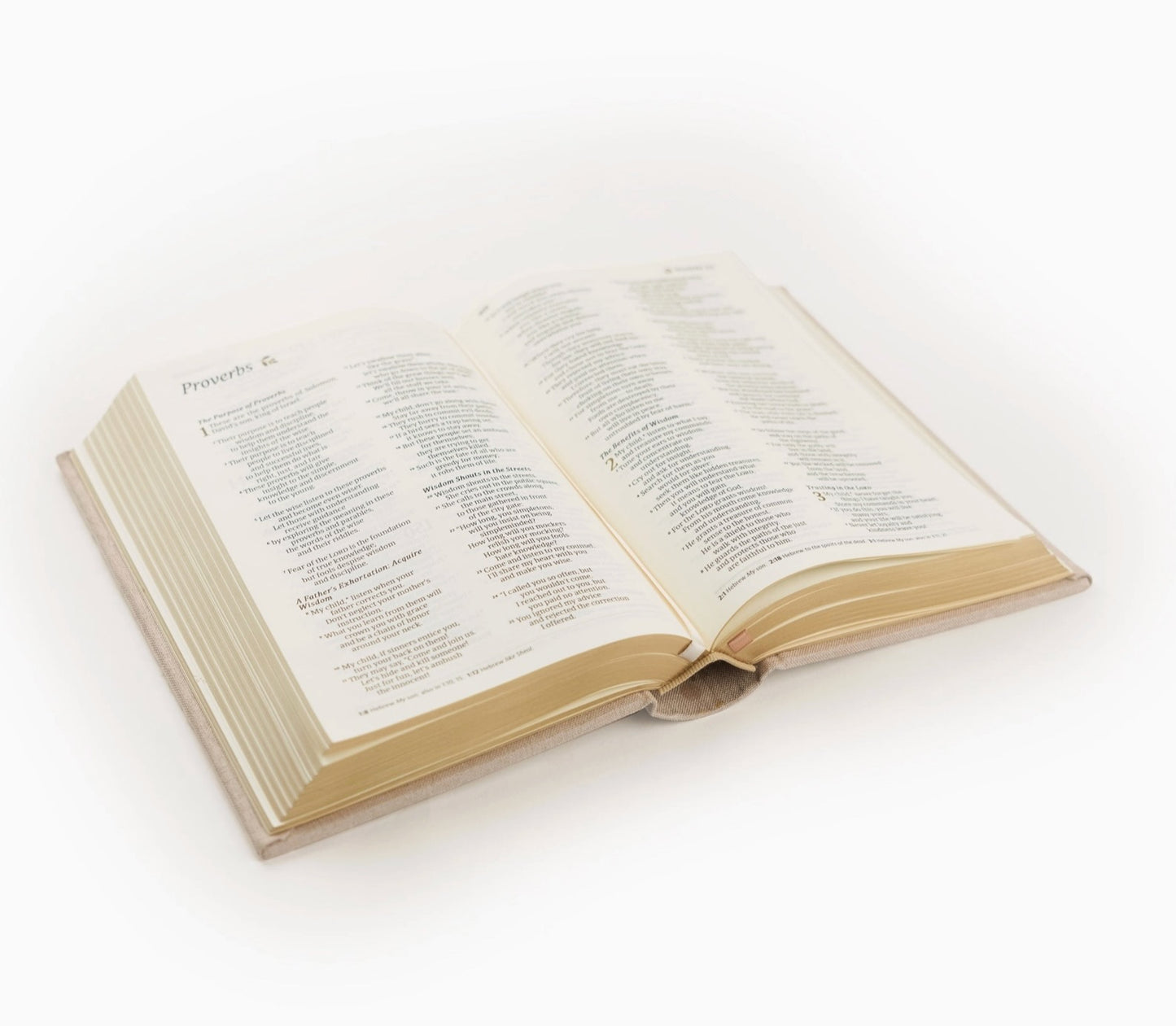 Hosanna RevivL NLT Compact Bible Casablanca Themed