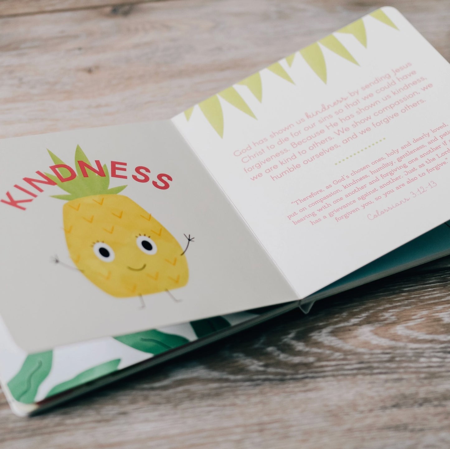 The Daily Grace Co Fruit Of The Spirit Book
