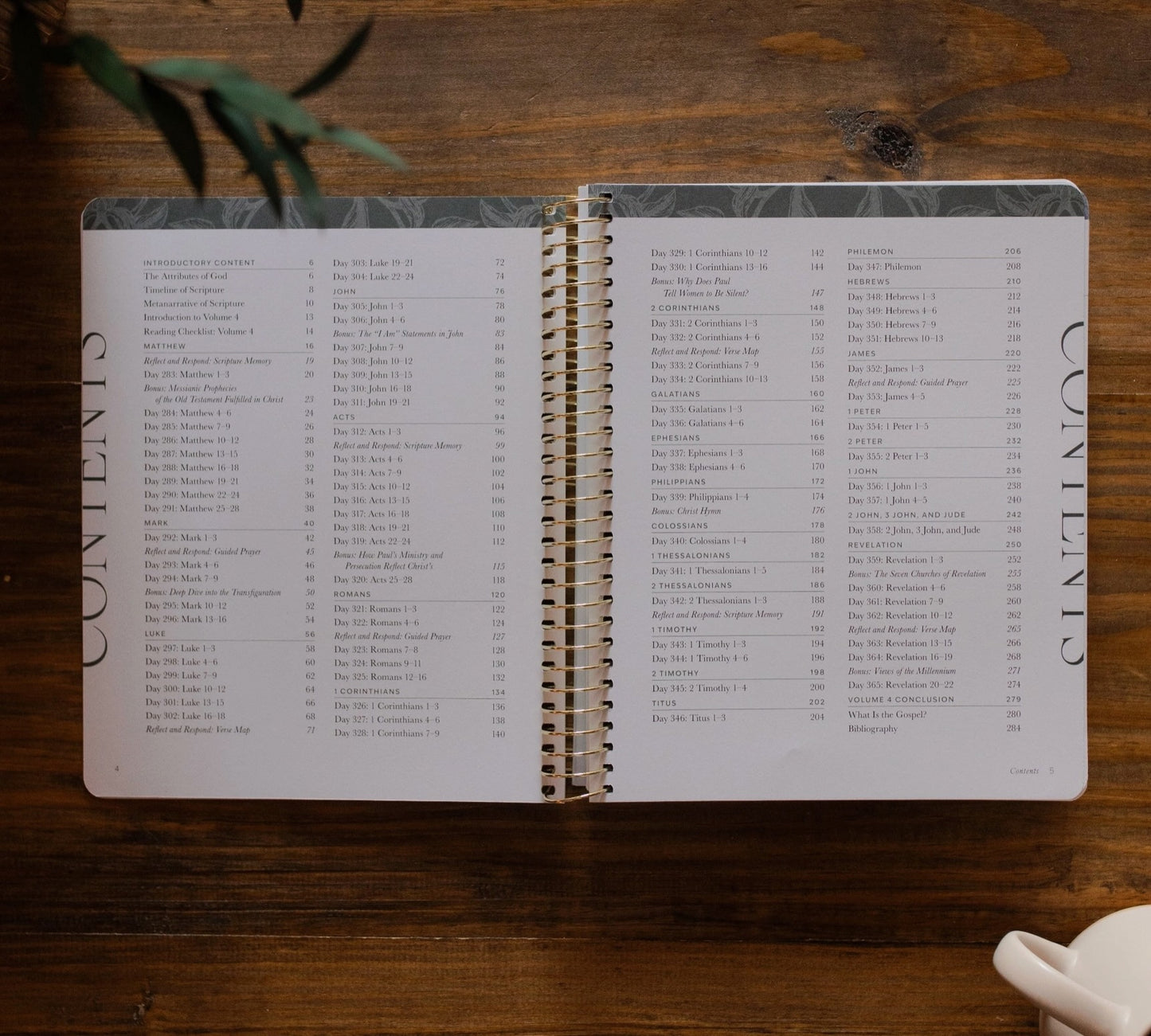 A Year in the Bible l Volume 4 Bible Study