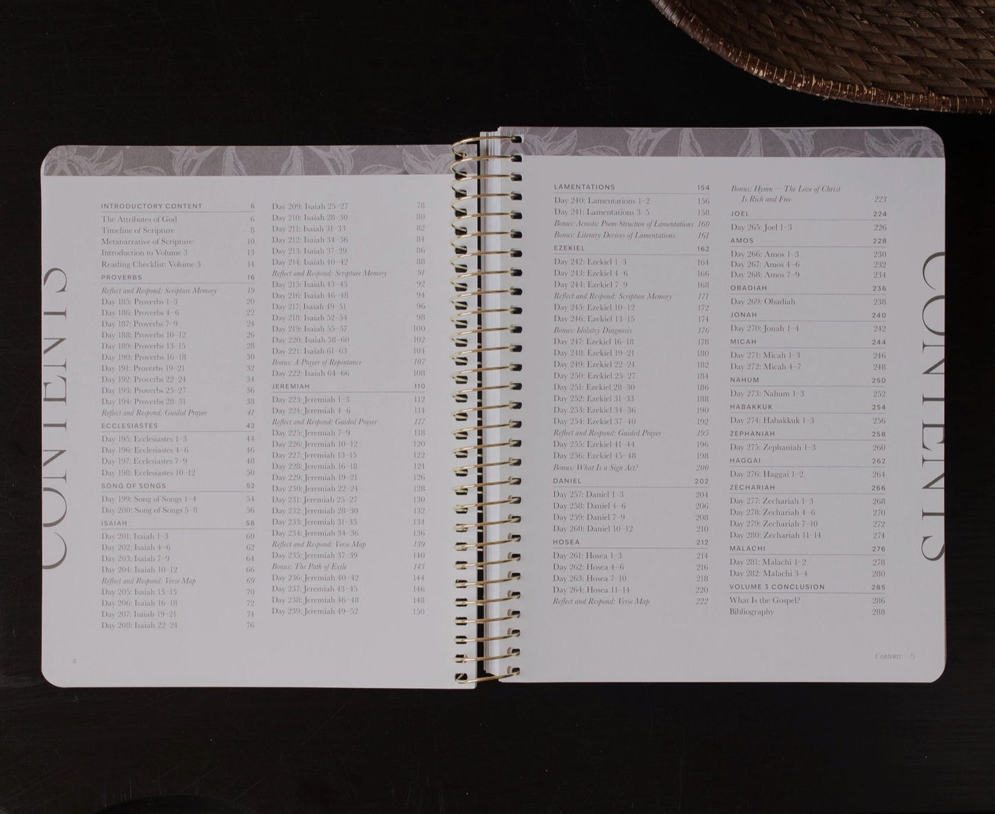 A Year in the Bible l Volume 3  Bible Study
