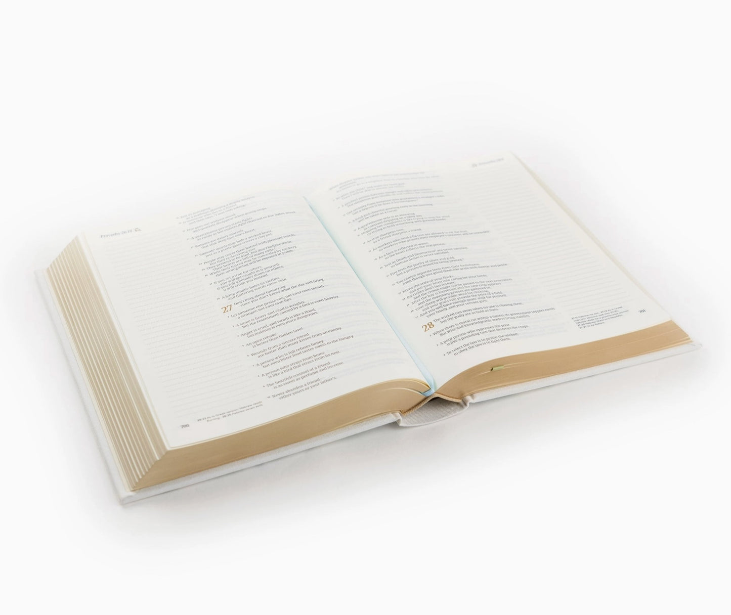 Hosanna Revival NLT Notetaking Bible Lisbon Theme