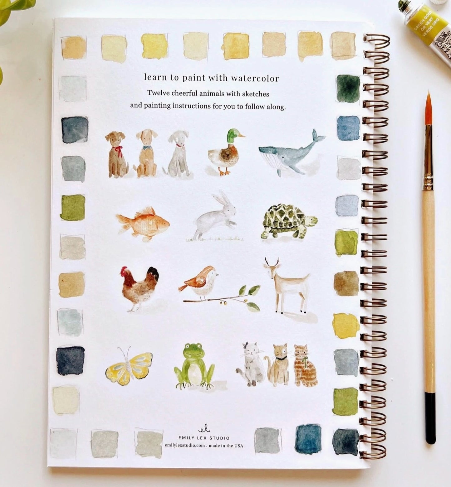 Emily Lex Animals Watercolor Workbook